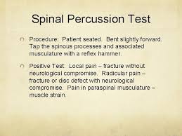 Getestet wird die neurodynamik des n. Lumbar Spine Orthopedic Tests Lumbar Anatomy Erector Spinae