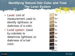 Both men and women have visible hair on their head, arm pits, legs Milady Standard Cosmetology Ppt Video Online Download
