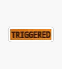 Shawn Mendes Stickers Triggered Meme Meme Stickers Memes