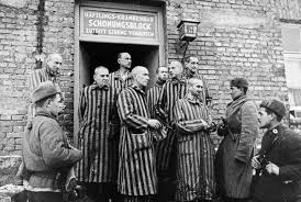 The survivor who taught him, his colleagues and his pupils so much. For Some Holocaust Survivors Even Liberation Was Dehumanizing The New York Times