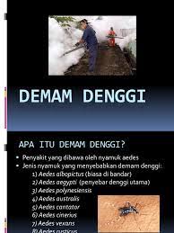 Demam disertai dengan mual dan sakit kepala, maka bintik merah muncul di lengan dan dada. Slaid Demam Denggi