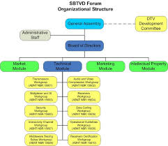 Trends In Organization Boundless Management