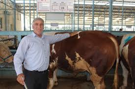 Denizli Ticaret Borsasi Canli Hayvan Pazari Nda Basin Gezisi Duzenledi Denizli Haberleri