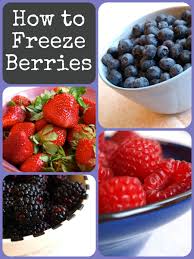 How long can you keep frozen raspberries? How To Freeze Berries Delishably