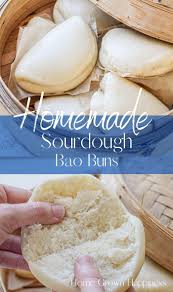 Sourdough Bao Buns Gua Bao Light And Fluffy Easy To Make At Home Recipe Bao Buns Sourdough Recipes