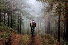 14,580 likes · 65 talking about this. Wanderer Und Mountainbiker Kommen Sich Im Schwarzwald Immer Wieder In Die Quere Sudwest Badische Zeitung
