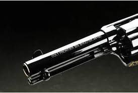Image result for Kaiser Silver 1987 Colt
