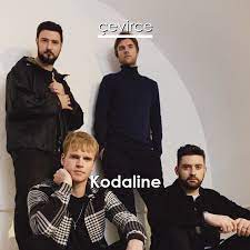 But i couldn't go another day. Kodaline Brand New Day Lyrics Translate Institution Cevirce