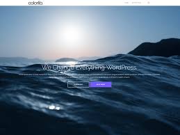 Popular and Best One Page WordPress Themes and Templates for 2022