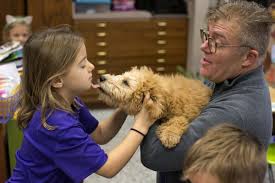 Goldendoodle, aussiedoodle and bernedoodle puppies in wv, ky and ny. Canine Comfort Therapy Dogs Offer Calm Dubois County Herald