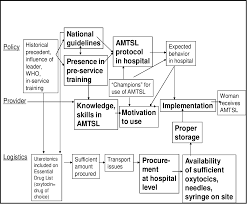 Image result for Active Management of Labor