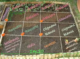 Resultats Google Recherche D Images Correspondant A Http P5 Storage Canalblog Com 50 94 285767 22556574 Jpg Potager Facile Carre Potager Petit Potager