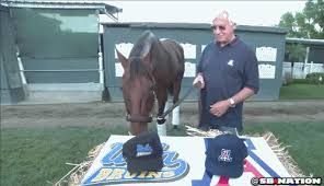 Search, discover and share your favorite bob baffert gifs. American Pharoah Picks Ucla To Beat Arizona But Lee Corso S Mascot Head Disagrees Sbnation Com