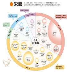 卵 効果 的 な 食べ 方