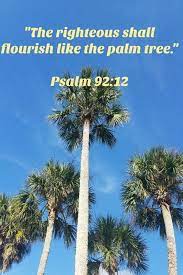 Psalm 92 States That The Believer Like The Palm Tree Will Stand Strong Through The Storms Palm Tree Quotes Psalms Bible Inspiration