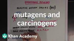 Mutagens And Carcinogens Video Mutations Khan Academy