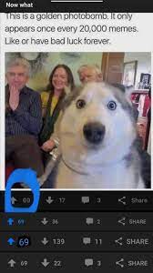 Its Tradition Now 9gag