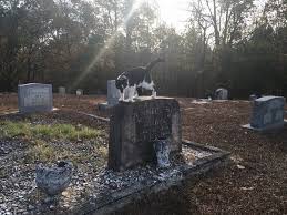 The star of david on gladys love presley's tombstone. Elvis S Twin The Loss That Haunted The King Forever
