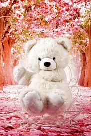 Hd Wallpaper Plush Toy Sitting Studio The Mascot Plush Mascot Teddy Bear Wallpaper Flare , cute teddy bear pictures download free hd images hd wallpapers 1600×1000. mascot plush mascot teddy bear