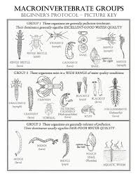 macroinvertebrate bioindicators beaver water district