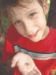 Gold found in Gore Creek