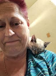 Texoma Pets Lost and Found