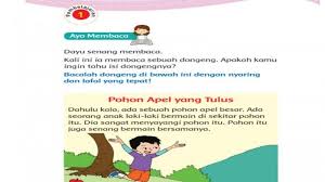 Kunci jawaban soal pilihan ganda 1. Kunci Jawaban Tema 2 Kelas 3 Halaman 4 Dan 7 Subtema 1 Manfaat Tumbuhan Bagi Kehidupan Manusia Tribun Pontianak