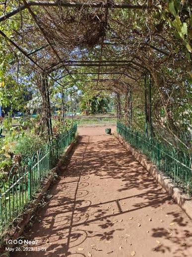 Hanging Garden in Malabar Hill,Mumbai - Parks near me in Mumbai - Justdial