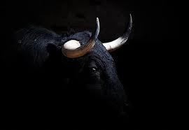 Pin De Oscar Morales En Tauromaquia Toros De Lidia Toros Y Toreros Toros Pintados