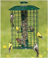 Bird Feeder Protection From Squirrels Duncraft Squirrel Proof Selective Squirrel Proof Bird Feeders Squirrel Resistant Bird Feeders Bird Feeders