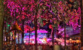 Be prepared with our comprehensive list of lineups, ticket info, and schedules for the hottest fests of the year. Top 25 Florida Music Festivals To Experience Before You Die 2020