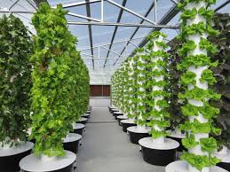 Newest Design Vertical Aeroponic Tower Garden System Thump Supplier