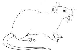 Ausmalbilder Malvorlagen Ratte Kostenlos Zum Ausdrucken Marchen Aus Aller Welt Der Bruder Grimm Von Andersen Online Le Ausmalbilder Ausmalen Ausdrucken