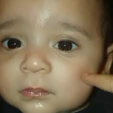 Fundraiser by Louis King : Funeral for our Kleo