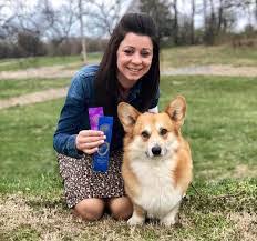 If you are unable to find your pembroke welsh corgi puppy in our puppy for sale or dog for sale sections, please consider looking thru thousands of pembroke welsh corgi dogs for adoption. 5 Best Corgi Breeders In New York 2021 We Love Doodles