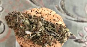 Cbd Flower Strain Review Granddaddy Purple Cbd 12 3 Cbd From Kingdom Of Green