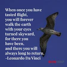  Anything You Experience Beyond Your Boundaries Becomes Your New Boundary Go Challenge Yourself To Grow Mindset Leonardo Da Vinci Self Improvement Leonardo
