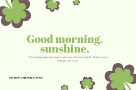 Photo by jonathan borba on unsplash. 120 Long Good Morning Messages For Her Your Girlfriend In 2021 Love Text Messages