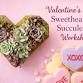 Valentine’s Sweetheart Succulent Workshop event in Corning, NY