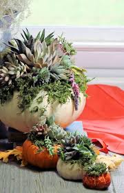 We did not find results for: Diy Pumpkin Succulent Planters Easy Fall Pumpkin Centerpiece