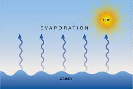 Nah untuk melengkapi penjelasan mengenai apa itu evaporasi, simak selengkapnya dibawah ini, tapi sebelum kita bahas. Faktor Yang Memengaruhi Evaporasi Geograph88