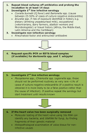 Infective Endocarditis 95 Are Positive But What To Do For