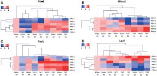See more of waterlogged on facebook. Frontiers Physiological And Pip Transcriptional Responses To Progressive Soil Water Deficit In Three Mulberry Cultivars Plant Science