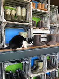wir lieben unsere katzen gartenzubehor innendekoration hauskatze