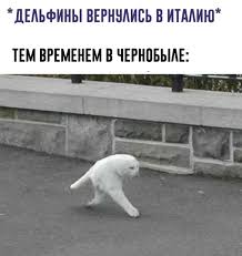Мем: Дельфины вернулись в Италию из-за коронавируса — Интернет на TJ