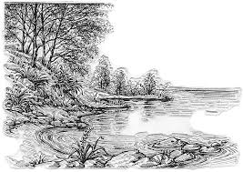 I didn't realize that dollar tree had these in stock. Buy Lake River Scenery Trees Clear Stamps For Card Making Scrapbooking Crafting Diy Decorations Background Transparent Silicone Seal Stamps For Embossing Album Crafts Online In Turkey B096z1sbxx