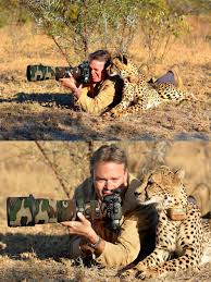 Cheetah What Are You Looking At Chris See For Yourself Photographer Chris Du Plessis Took This Inc Funny Animals Cute Funny Animals Cute Baby Animals