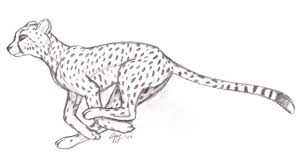 Grab a marker and follow along with. Cheetah Drawing Easy How To Draw A Cheetah Running Easy Step By Step For Learn How To Draw Easy Cheetah Pictures Using These Outlines Or Print Just For Coloring