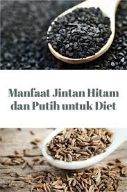 Rahasia khasiat jinten hitam/habbatussauda jinten hitam (habbatussauda) sudah lama dikenali sebagai pelengkap bumbu masak khususnya di negara negara timur tengah. Manfaat Jintan Hitam Dan Putih Untuk Diet 2mk Network