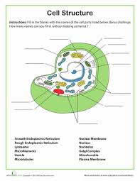 Cell Structure Worksheet Education Com Science Cells Biology Worksheet Science Worksheets